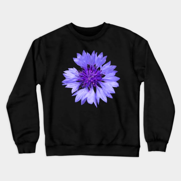 blue cornflower, flower, flowers, blossom, garden Crewneck Sweatshirt by rh_naturestyles